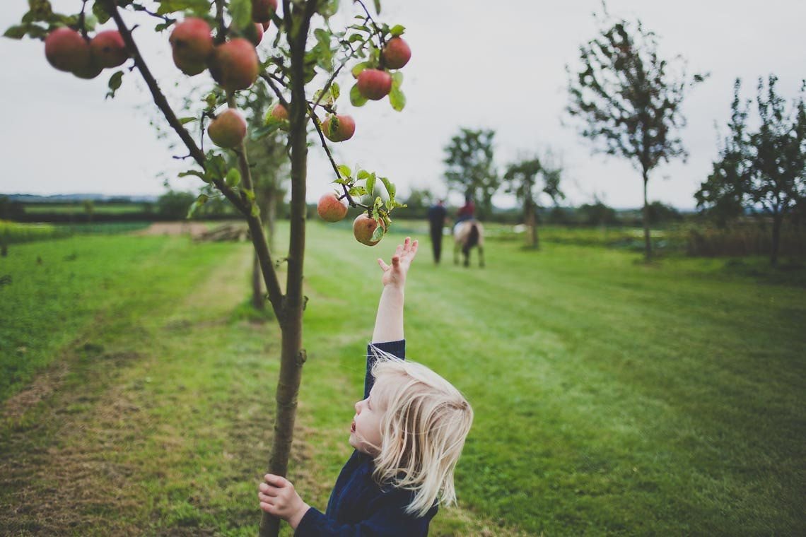 Tomorrow, celebrate the end of the Summer with <a href="/daylesfordfarm/">Daylesford Farm</a> and their Harvest Festival. Can't wait 💚 - buff.ly/2uDIj0I