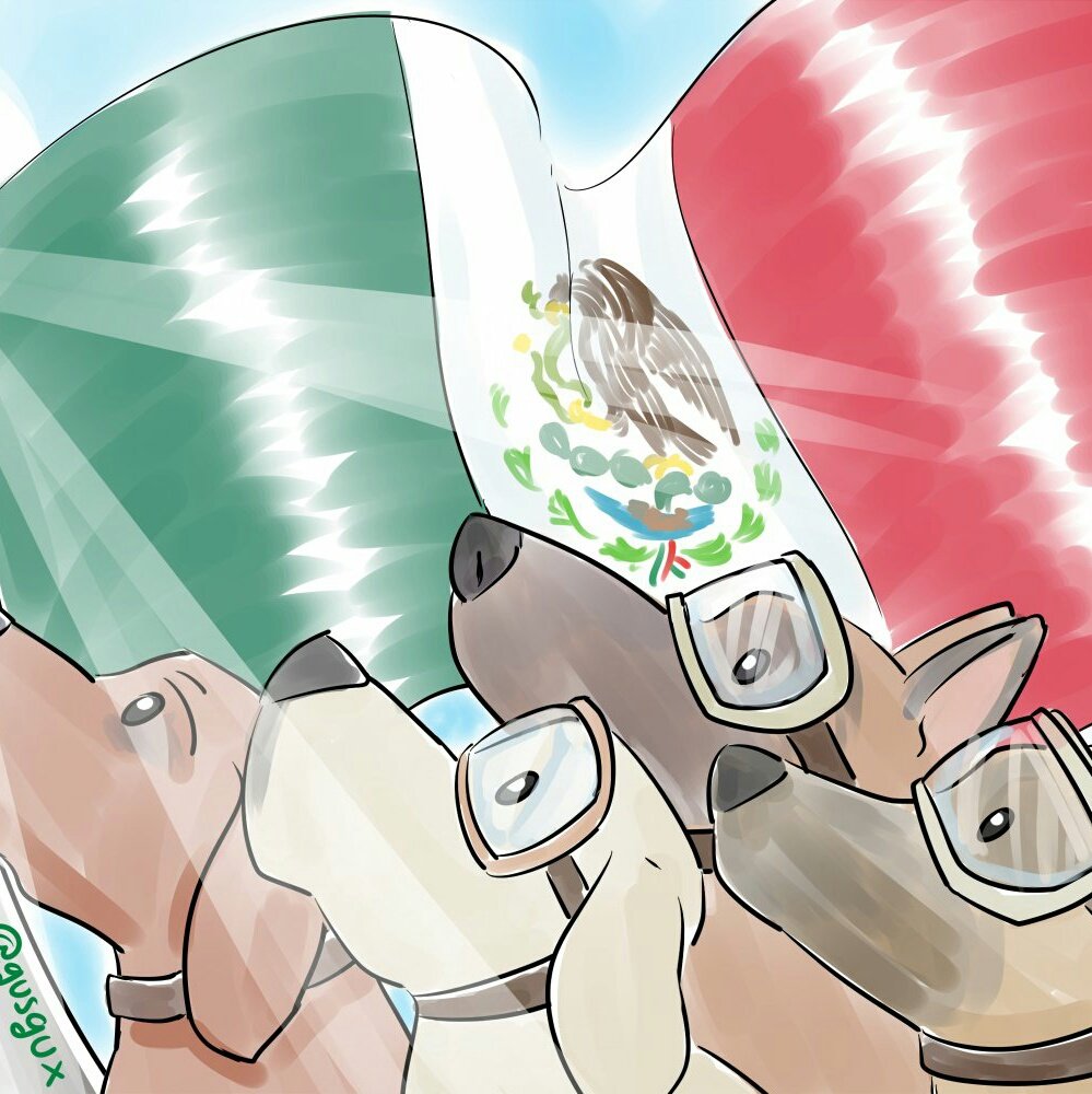VickThorTrujo's tweet photo. #NuevaFotoDePerfil https://t.co/AVJHeRhUs4