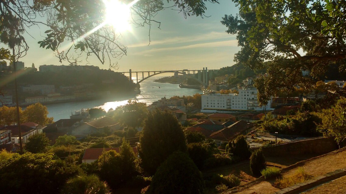 rosbarbieri's tweet photo. E desse lado de cá do oceano o Outono chegou #porto #portugal #aquelaviagem #portoig #europa #outonoeuropeu #outono2017 #visitportugal https://t.co/8ix82qfBNT
