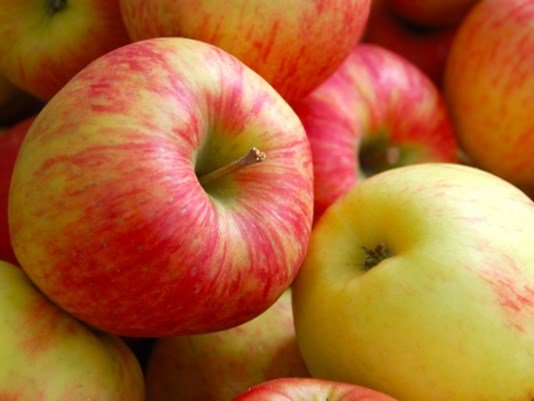 WFMY's tweet photo. Red Delicious, Golden Delicious, Rome Beauty, & Galas make up the bulk of NC’s apple production #FallOn2 https://t.co/zZNAPMN8V5 https://t.co/OiOEBP2YHQ