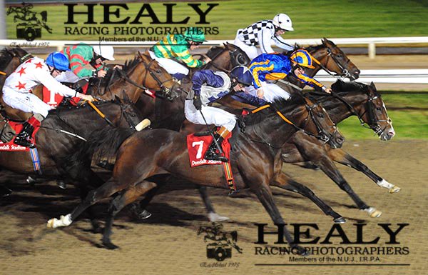 HEALY RACING tweet media