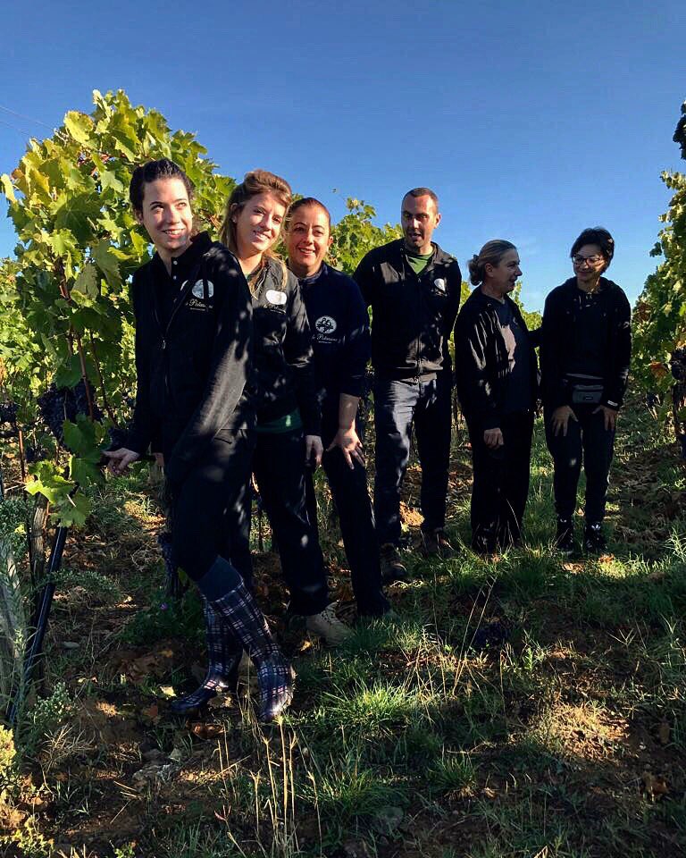 LePotazzine's tweet photo. #harvest2017 at @LePotazzine
Best team ever! #brunello2017 #thebestisyettocome https://t.co/n0RxO2eS2O