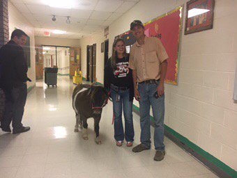 UnionHighCats's tweet photo. Ummm...it's definitely Friday at UHS @unionwildcats @UHSstuco https://t.co/rU5MQdztpv