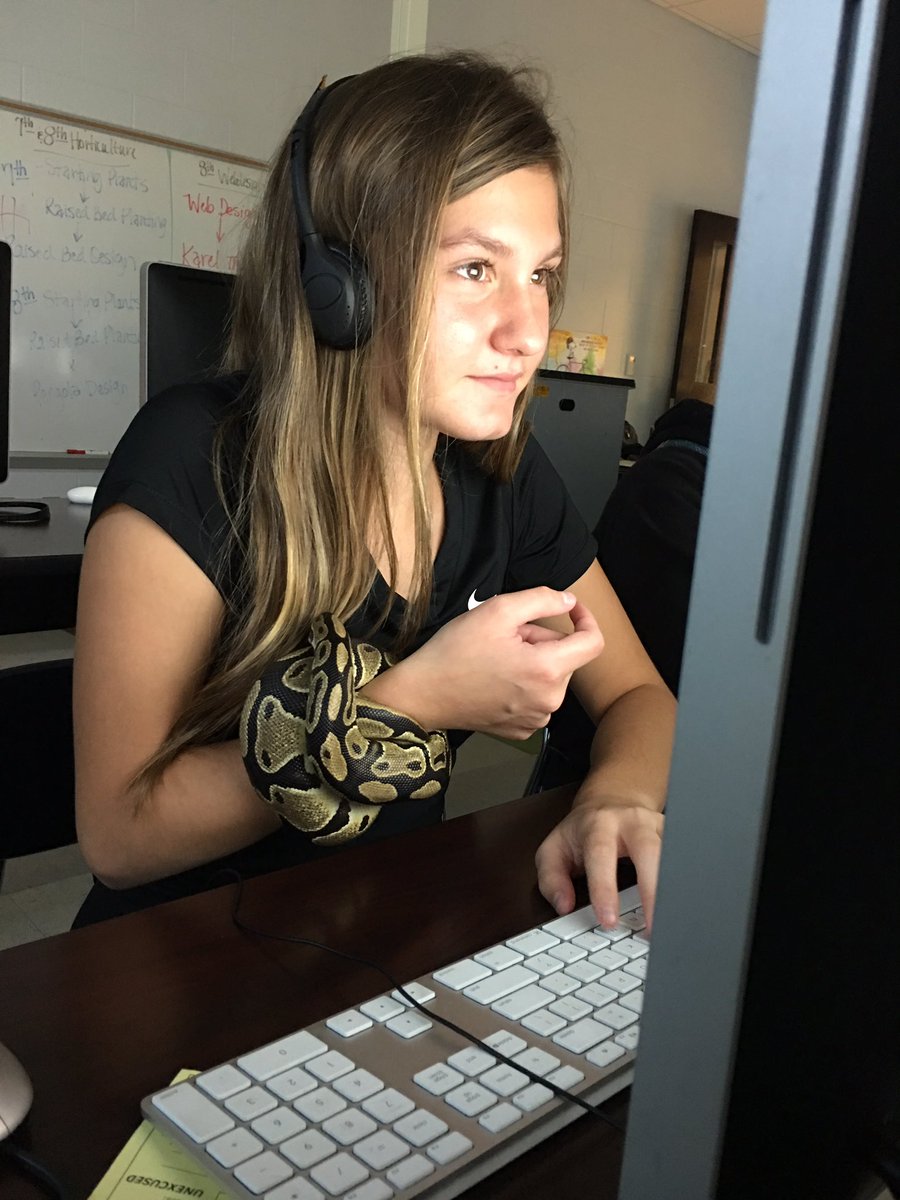cgarrison5526's tweet image. Classroom pets as accessories? Why not. 🐍 love CS too! #csforall @CSforALL @PSMSBulldogs #psmsProgramming @CodeHS