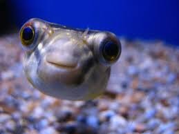 have a superb day friends!!!! make sure to rest!!!!