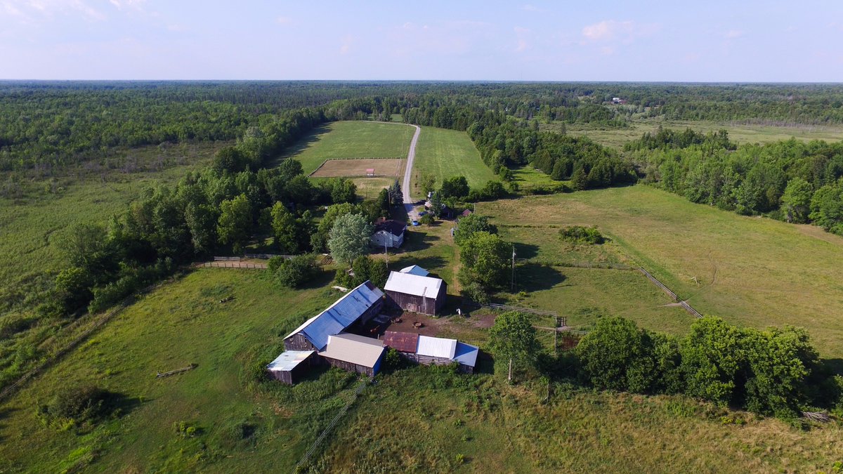 PaulButcherAveN's tweet photo. #OpenHouse Sunday 2 to 4pm #Horse #Hobby #Farm with 187 acres #sandring #grassring easy commute to #Ottawa https://t.co/0RsY1AYs8o https://t.co/6a9vb52R59