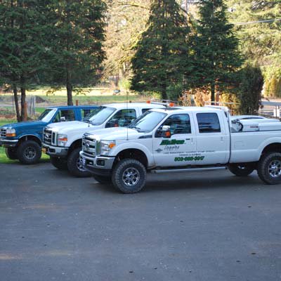 MrTreeInc's tweet photo. No matter the job, Mr. Tree, Inc. can get it done efficiently and effectively. #mrtreeinc #pdxtrees https://t.co/cKPZvdBFMR https://t.co/6JFGagNlzf
