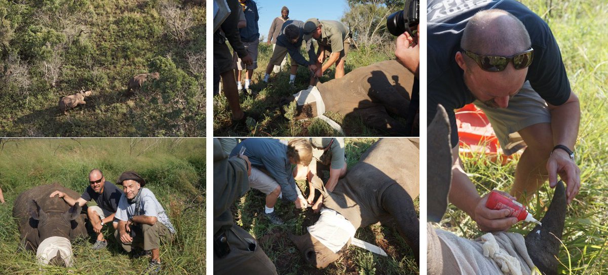 ScottGummer's tweet photo. #WorldRhinoDay. Unforgettable memories with @SwenGummer17, Calvin @CalvinGummer, and Guy Neveling at @andbeyondtravel for @FortuneMagazine https://t.co/hbLqrTugPu
