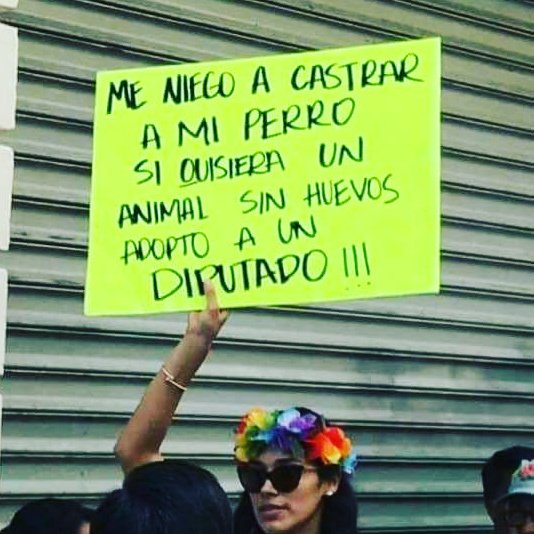 Así nomas con la mal implementada Ley Cholito...

#ComidaPet #DogLovers #LeyCholito #Catlovers