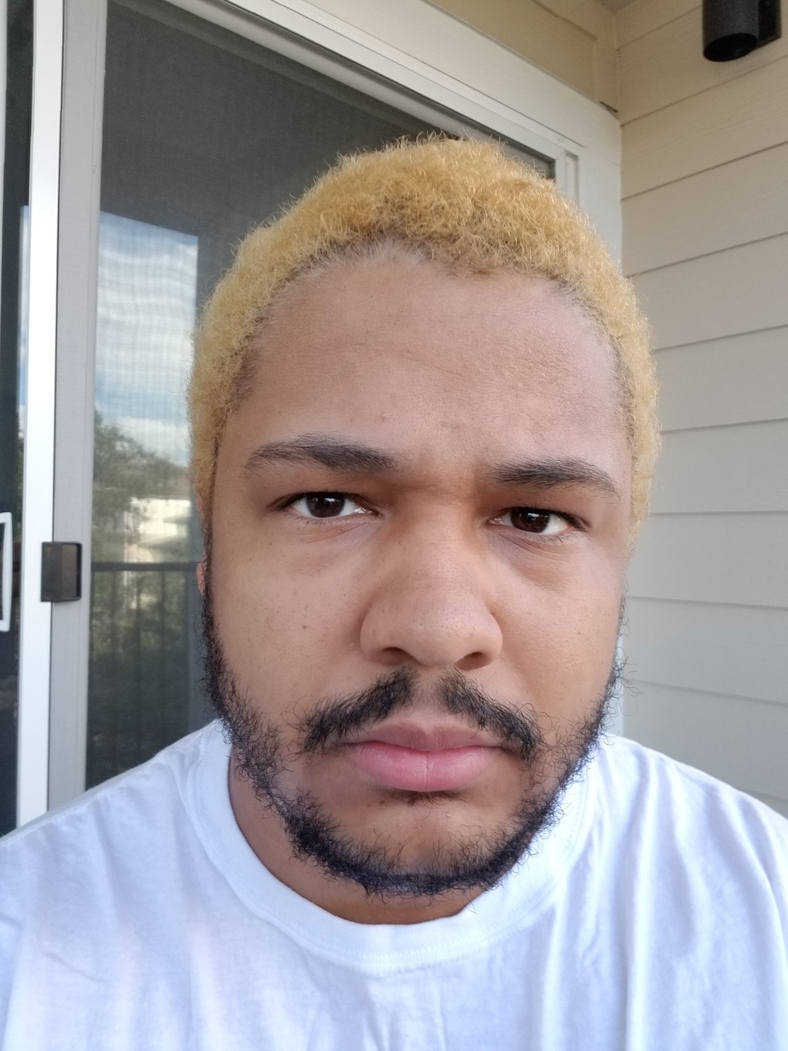 nicky-polom-on-twitter-i-ve-done-it-i-ve-finally-ascended-to-my