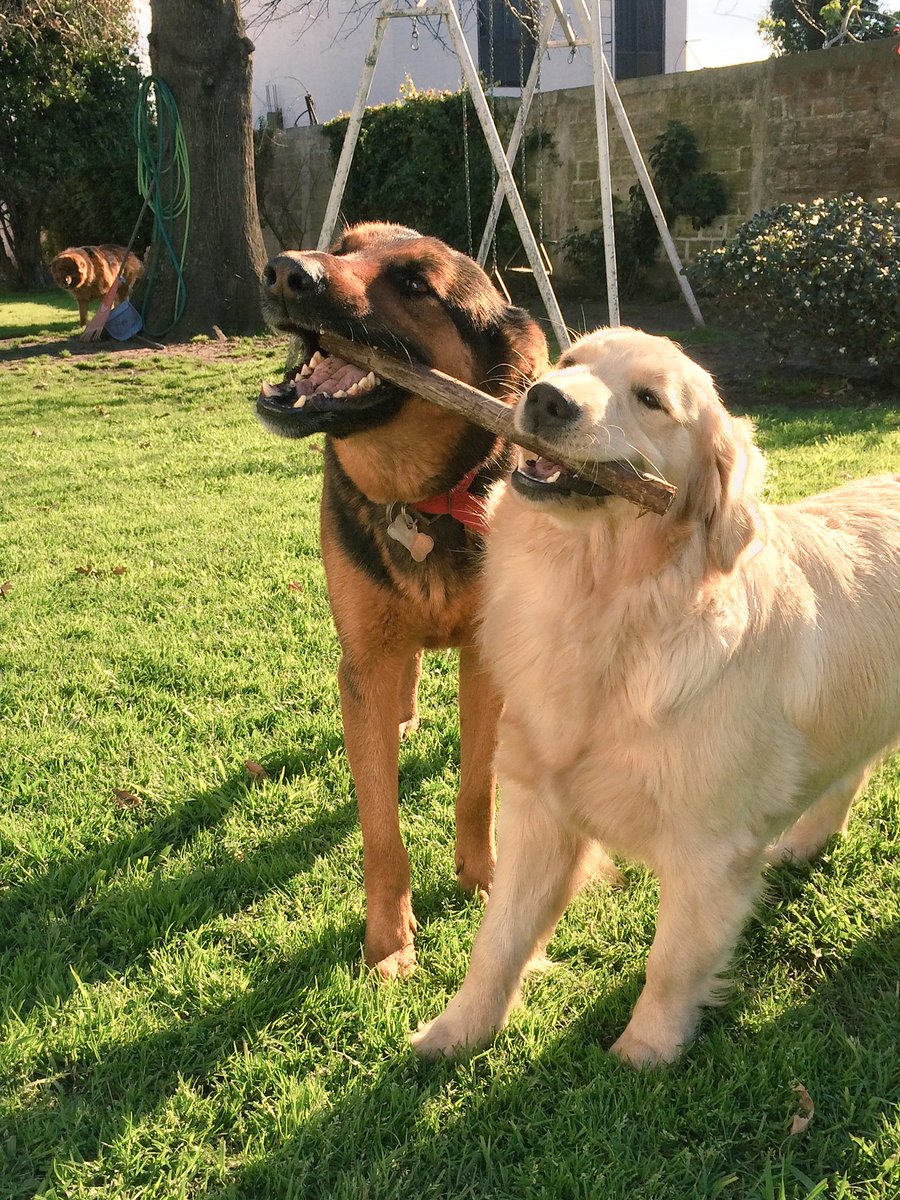 NelaMarucha's tweet photo. Hermanos ♥️🌈♥️ https://t.co/msvKb6Yhjn