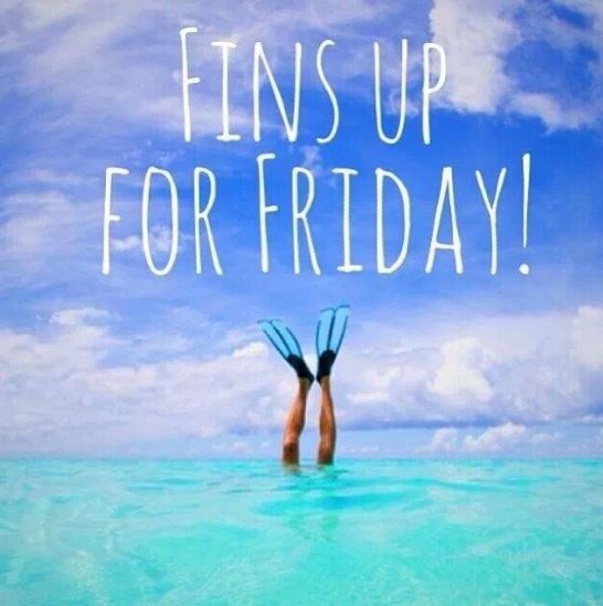 pslibraryfish's tweet image. #TGIF