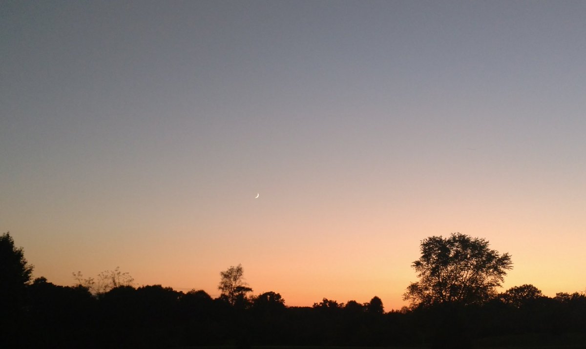 MichCounAssc's tweet image. We hope you were able to enjoy the first day of Fall. 🍁🍃🍂