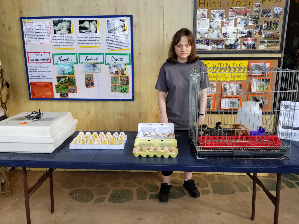 ledford_ffa's tweet photo. Manning our educational booth #davidso ncountyfair @NCFFA #agedu @LedfordProud #livingtoserve @NationalFFA @dcsnc https://t.co/GSQGjtHvwv