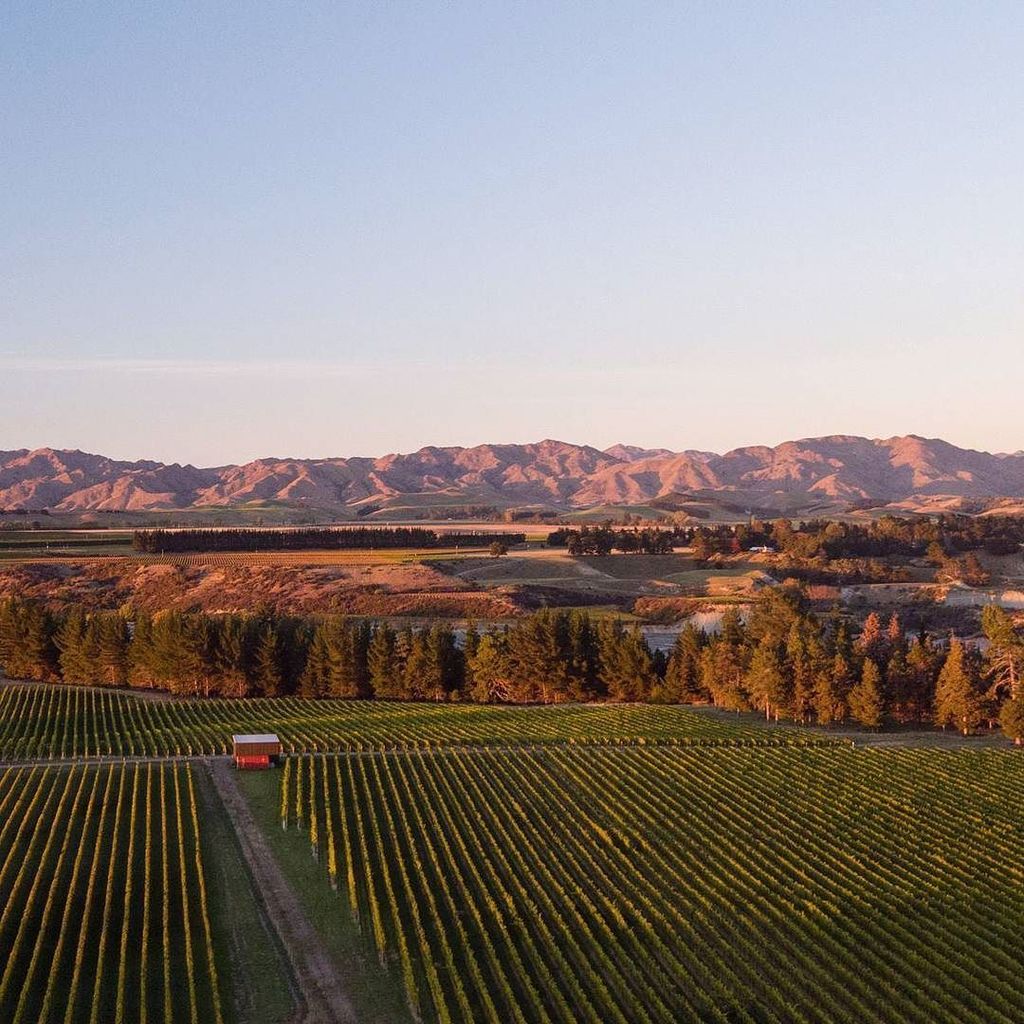 Somethings are worth getting up for..