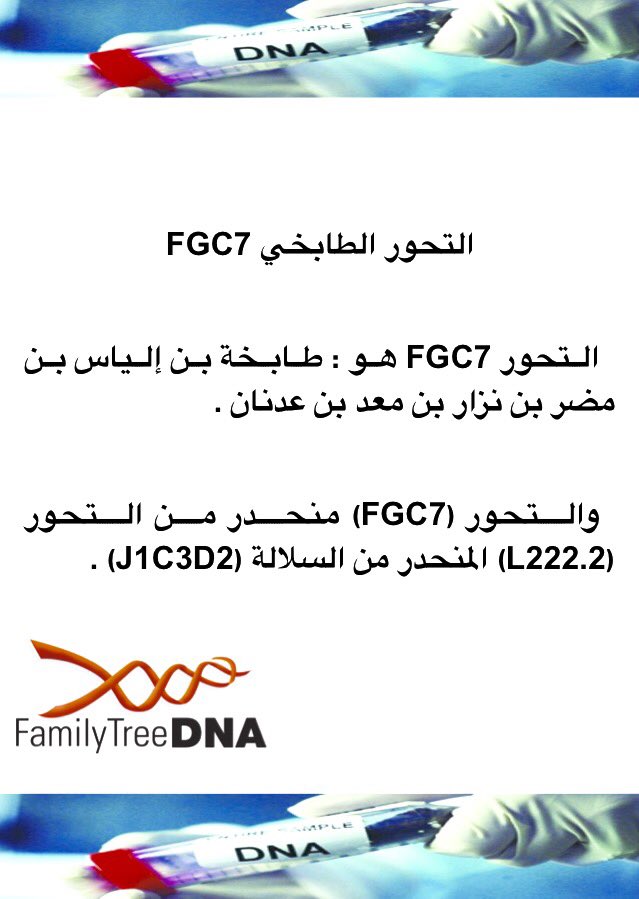 FGC719's tweet photo. التحور FGC7 هو : طابخة بن إلياس بن مضر بن نزار بن معد بن عدنان . https://t.co/XBLZcYvjp8