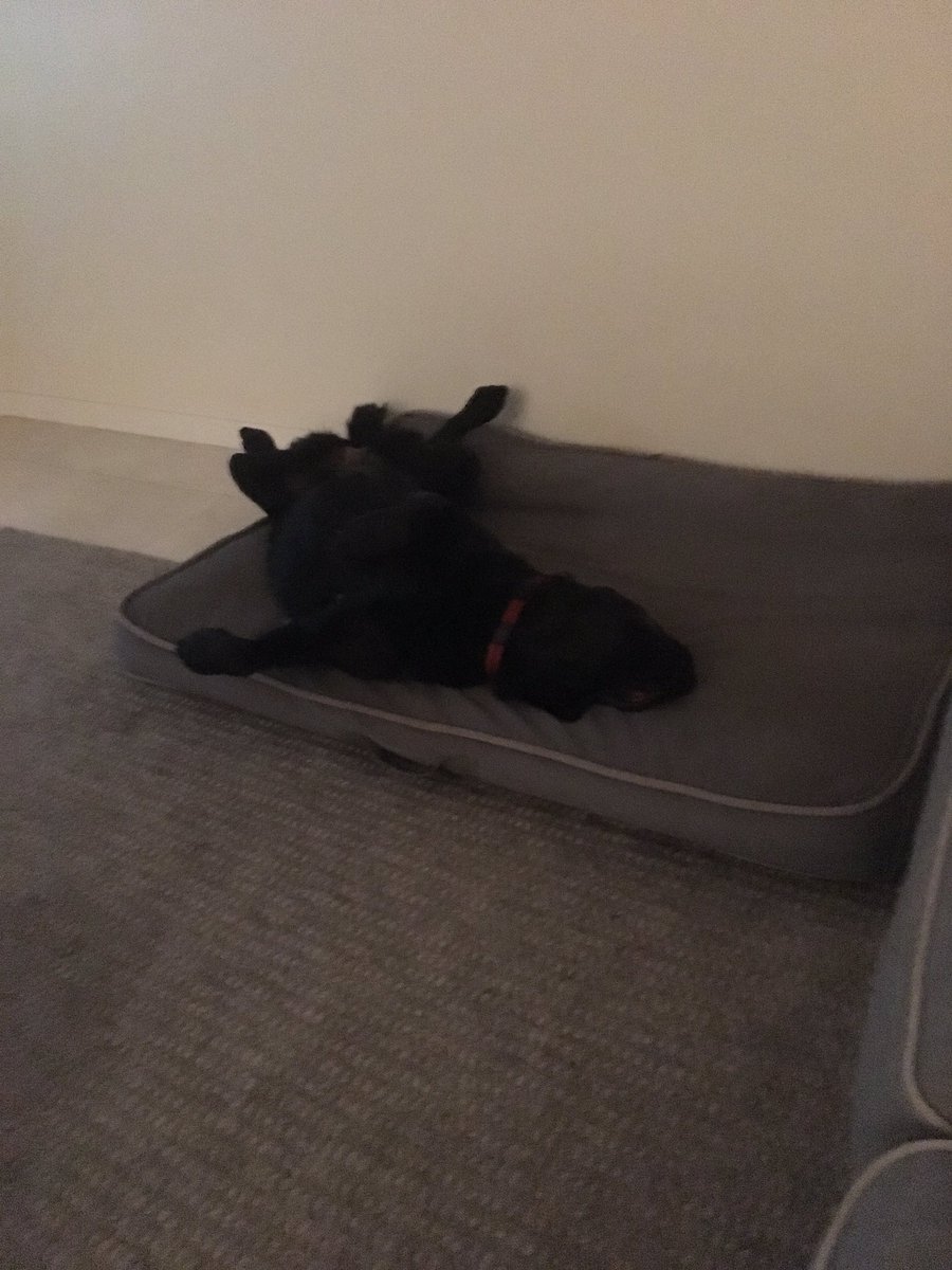 She is beauty, she is grace, she'll keep you awake all night