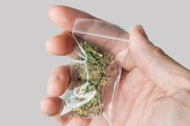 AttorneyTracey1's tweet photo. Cannabis Counsel will be in da House! Tune into @910Superstation  Saturday, 9/23 at 11 AM to talk about Michigan Pot Legalization. #MIPOT ⚡️ https://t.co/S89P5YvnLz