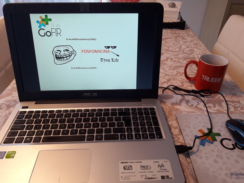 paselsab's tweet photo. La Fosfomicina Trolea (falso sustrato!) al NAM... inhibe la sintesis de la pared celular y es bactericida. Thug Life! #gofir @AcademiaGoFIR https://t.co/vDuI3uFLt2
