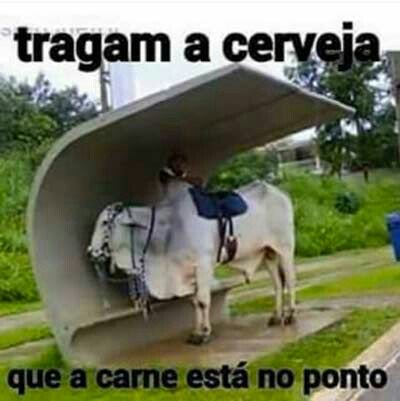 Boa noite!!! 😂😂😂 #BetaQuerLab #BetaAjudaBeta #BetaSegueBeta #ParceirosBeta #timbetalab