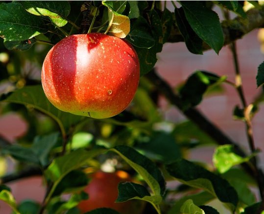 Thanks to all our great <a href="/BrokenBayDioc/">Diocese of Broken Bay</a> staff! Enjoy a well-earned holiday. <a href="/BB_CSP/">BBCathSchParents</a> looks forward to working in #partnership again in Term 4