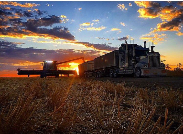 Get in quick- last chance to register for VFF Pre-Harvest Roadshow events in Derrinallum &amp; Longerenong 🌾🚜🚚vff.org.au/vff/Events/Eve…