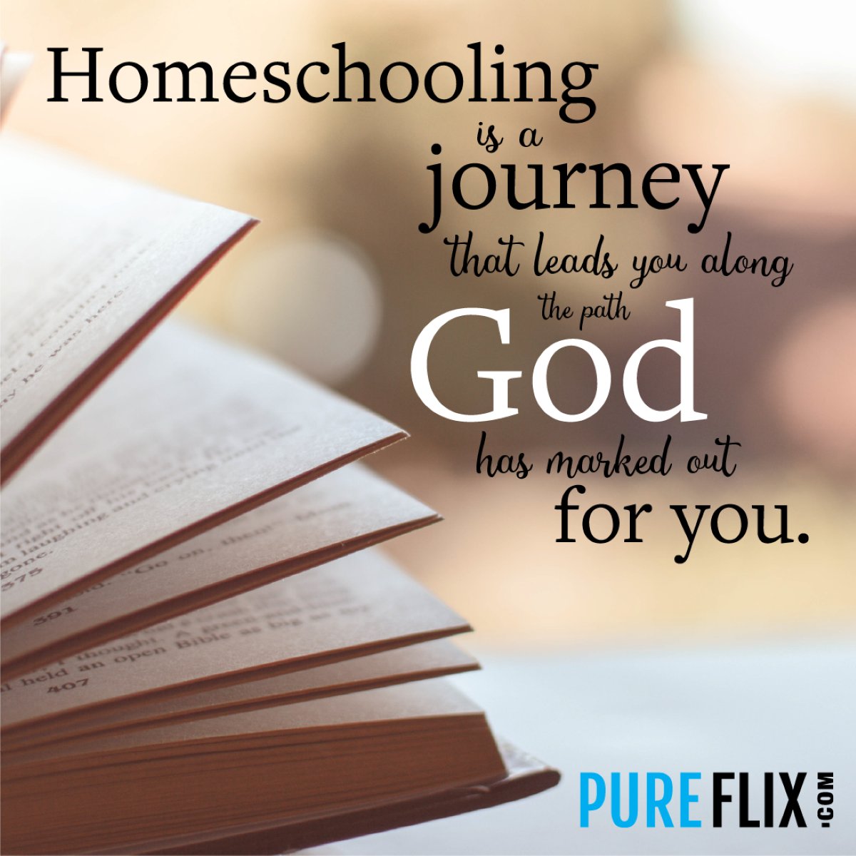PureFlix's tweet photo. Comment "Amen!" if you agree! #Homeschooling https://t.co/8xZHWs0ACM