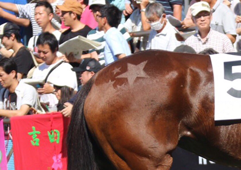 Twitter पर Umabi 競馬豆知識 パドックを見ていると たまにお尻などに色んな模様がついている馬 がいるよね これは マーカー って言って お馬さんのオシャレだよ 知ってた うまび Twitter पर Umabi 競馬豆知識 パドックを見ていると たまにお尻などに色んな模様がついている馬 がいるよね これは マーカー って言って お馬さんのオシャレだよ 知ってた うまび
