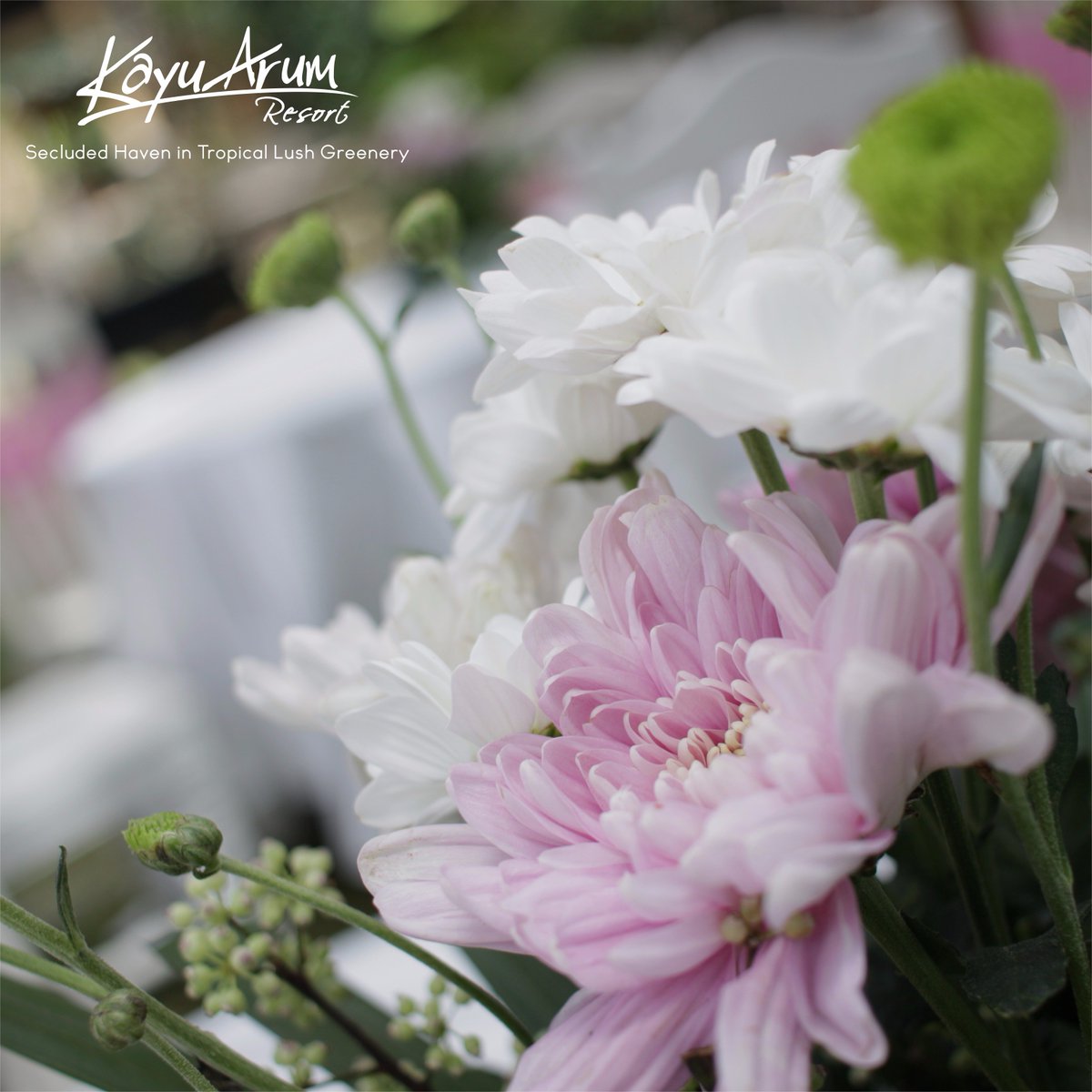 KayuArum's tweet photo. Make your party better with your personal preference and customized party. We arrange a outdoor party with pink and white decorated table https://t.co/m9dXhq6GA5