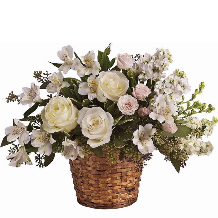 floristsnz's tweet photo. 'Loves Journey' peaceful basket of white #sympathy #blooms, and a sweet hint of pink to Send comfort and thoughts … https://t.co/YDMwyPHDvD https://t.co/kIxsmtLNzk