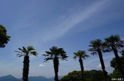 나무를길러본
사람만이안다.
반듯하게잘자란나무는
제대로열매를맺지
못한다는것을,
너무잘나고튼나무는
제치레하느라오히려
좋은열매를갖지
못한다는것을,
한군데쯤부려졌거나
가지를친나무에
또는못나고볼품없이
자란나무에보다실하고
단단한열매가
맺힌다는것을,
「신경림」