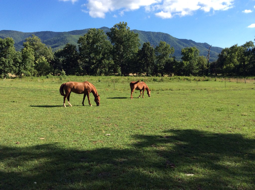 AAA_Stripe_Pro's tweet image. .@cindycapo @alphabetsuccess @AkemiKawaguchi8 @Analytics_MSci @carrolltrust @chikara_lnoue @cftc10 @LoriShemek