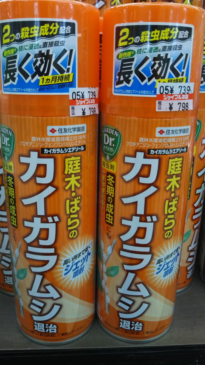 ジョイフル本田 ガーデンセンター A Twitter ガーデンセンターひたちなか店 茨城 今から冬季に植物 に付く 白い物体 それは カイガラムシです 植物の栄養を吸うだけでなく 葉や茎が真っ黒くなる スス病になっちゃいます そうなる前に