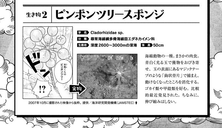 「天地創造デザイン部」案件1の最後。今後もツイッターで漫画投げる予定です。そしてこの漫画の単行本1巻の予約始まりました！予約があると部数が増えて、増えると続くので、良かったらよろしくお願いします…… 