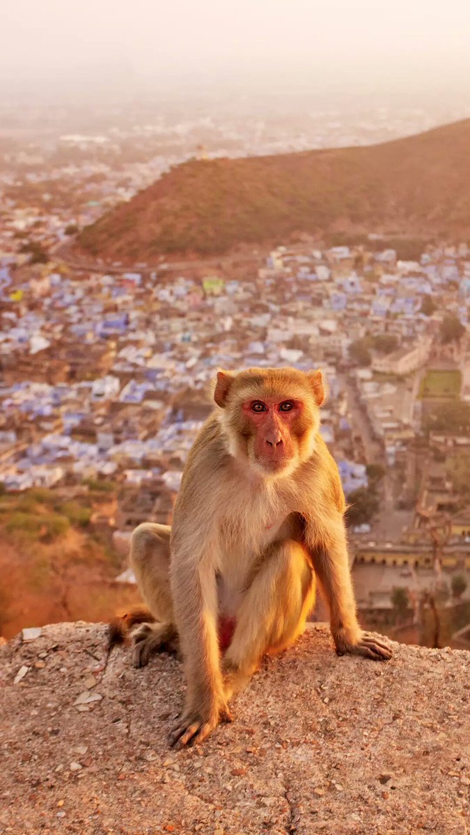 Miller (@miller08630856) on Twitter photo 