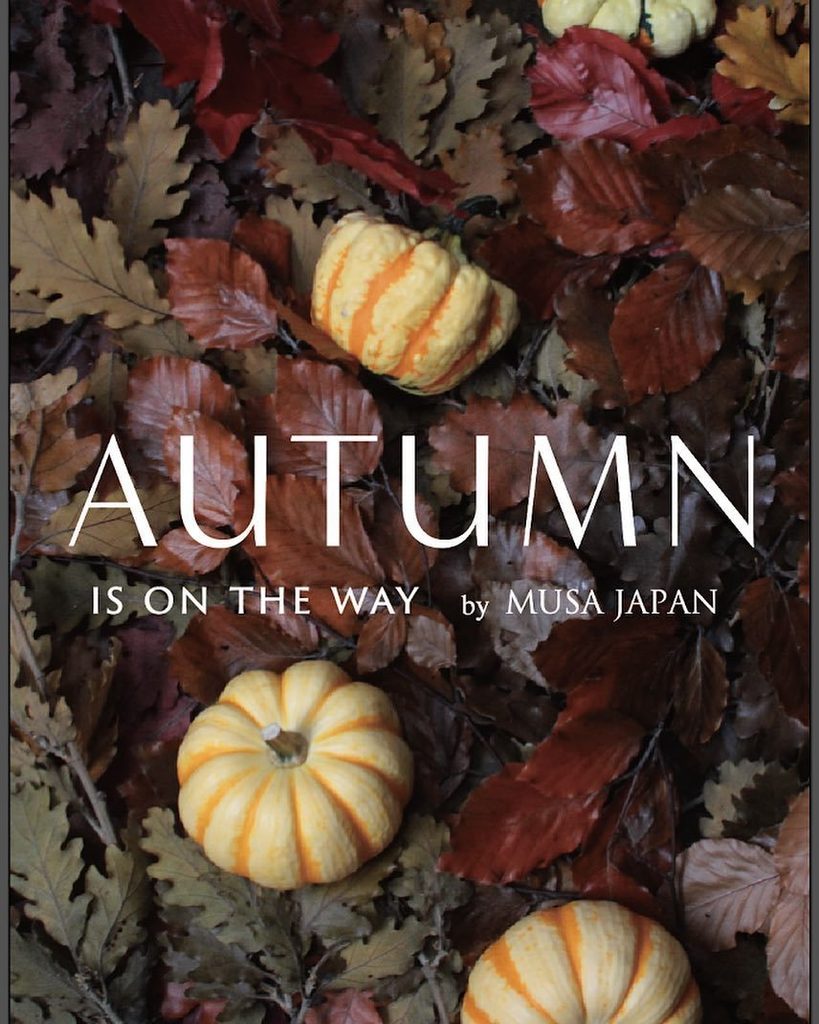 Musa Japan Musa Japan Twitter