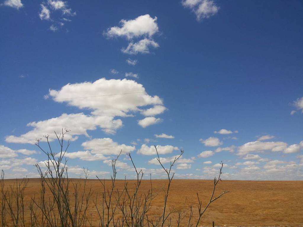 aBOUTaLENTEJO's tweet photo. O Alentejo visto por Miguel Torga em 1950.
Nova publicação no blog da aBOUT aLENTEJO.

#aboutalentejo #blog #citac… https://t.co/3jNdBNzXVP https://t.co/2QDalOHu5O