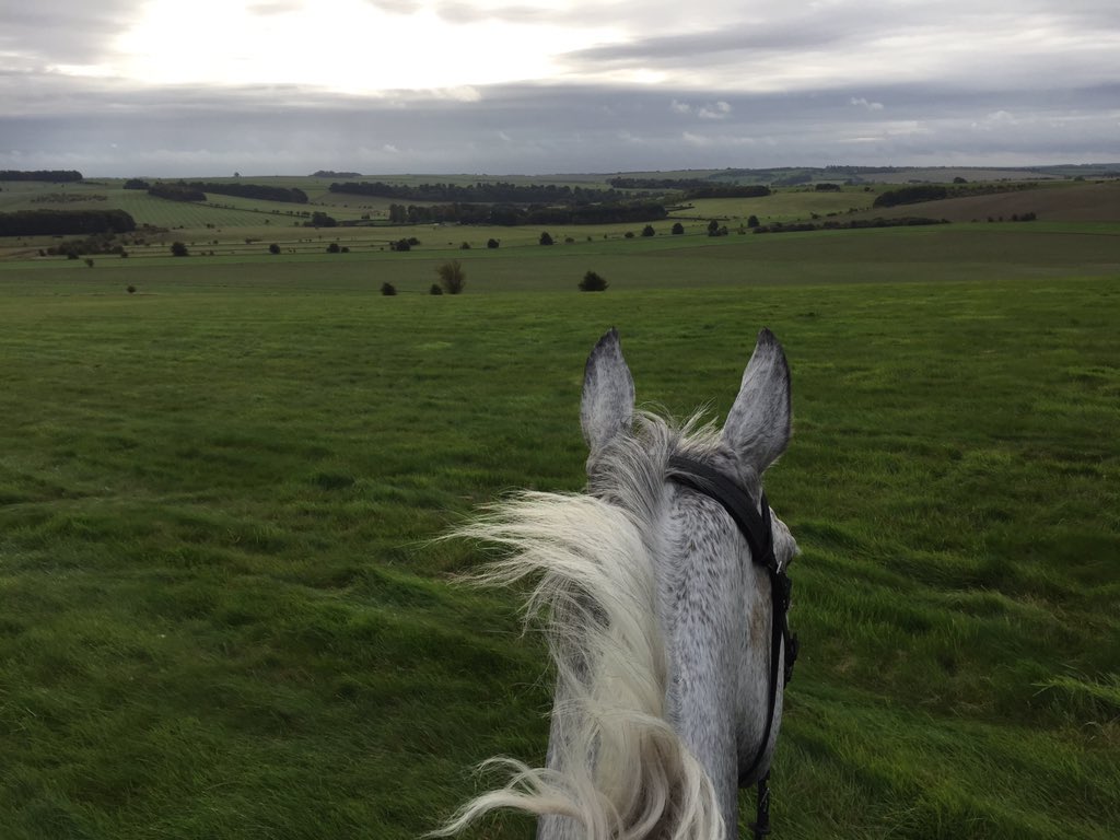 jamiesnowden's tweet photo. Enjoying the autumn on Eddie #TrainersHack https://t.co/4vQEMl2vhS