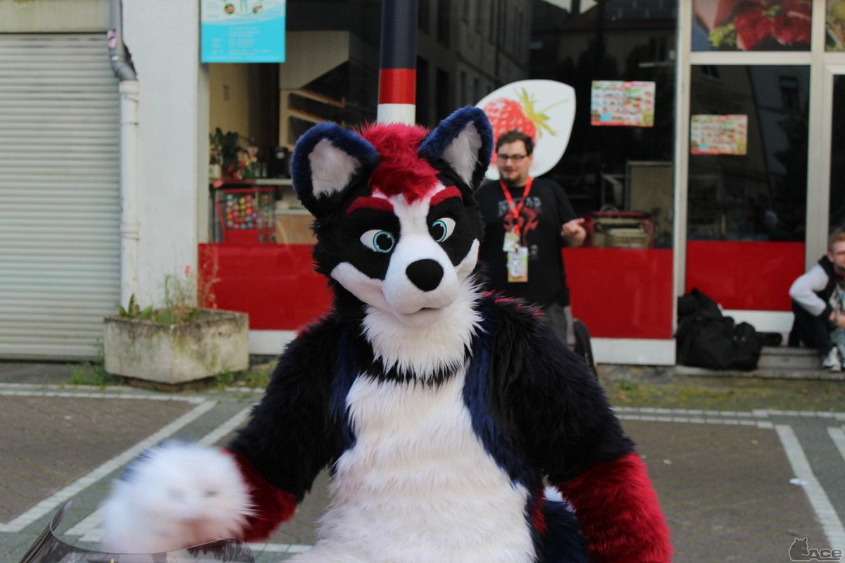 Fursuit Photo of the day
