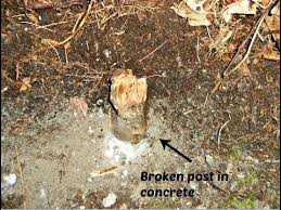 Falcon Chambers tweet media