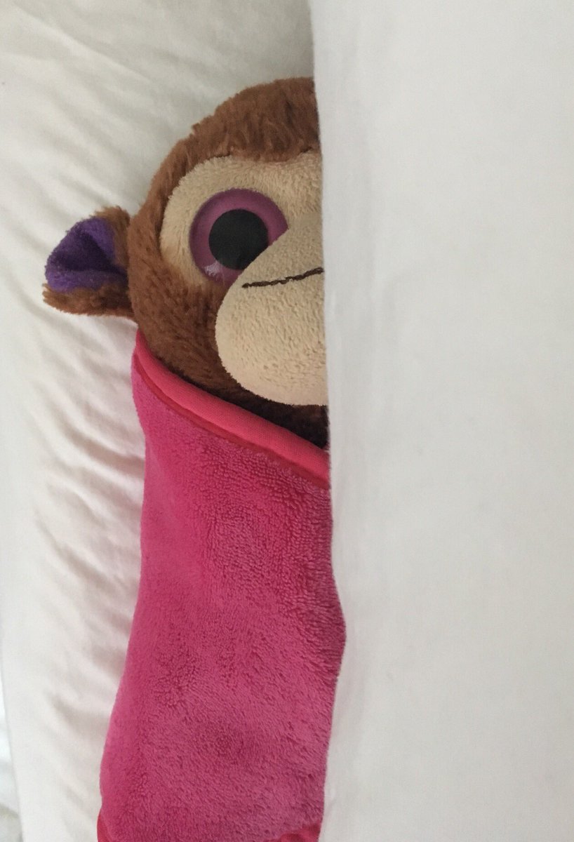 FluffyMonkey1's tweet photo. Having a lazy Saturday whilst the big monkey goes to work #MonkeyRules Winning https://t.co/YxjMBPsLFE