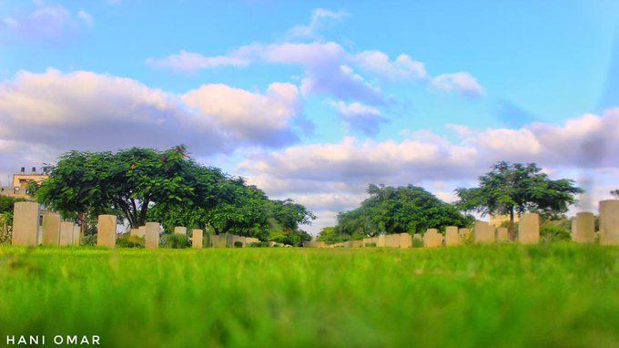 ���� ���� ������ �� ���� ������