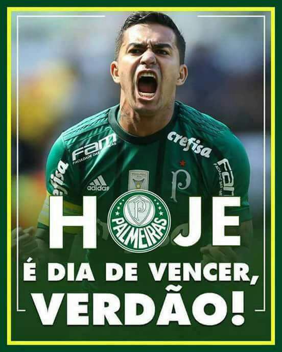 Gilcilenee's tweet photo. Hoje é dia de fazer 3 pontos... #VamosVerdão
#dar-lhePorco🐷💚 https://t.co/umwZKQBdjf