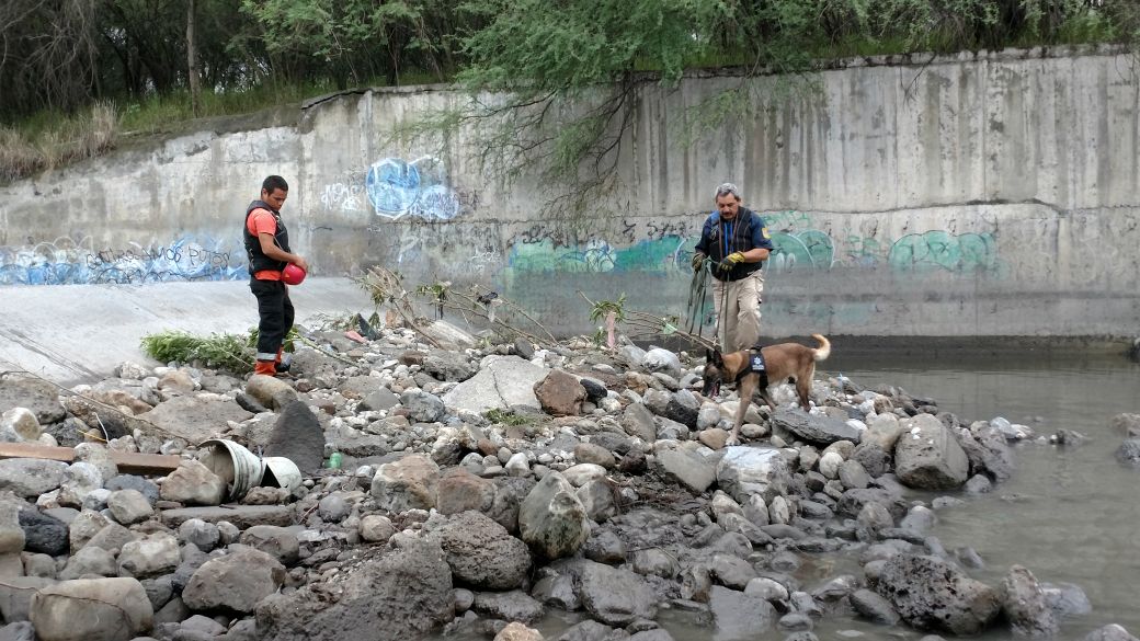Gobierno Monterrey tweet media