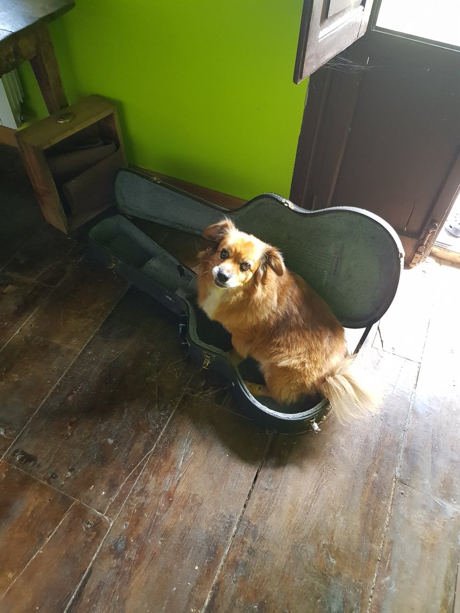 NachoVegasTwit's tweet image. Tengo una Fender Chuchocaster del 2006, modelo #Luco. Pero no está en venta. No hay riqueza en el planeta Tierra que pueda pagarla.