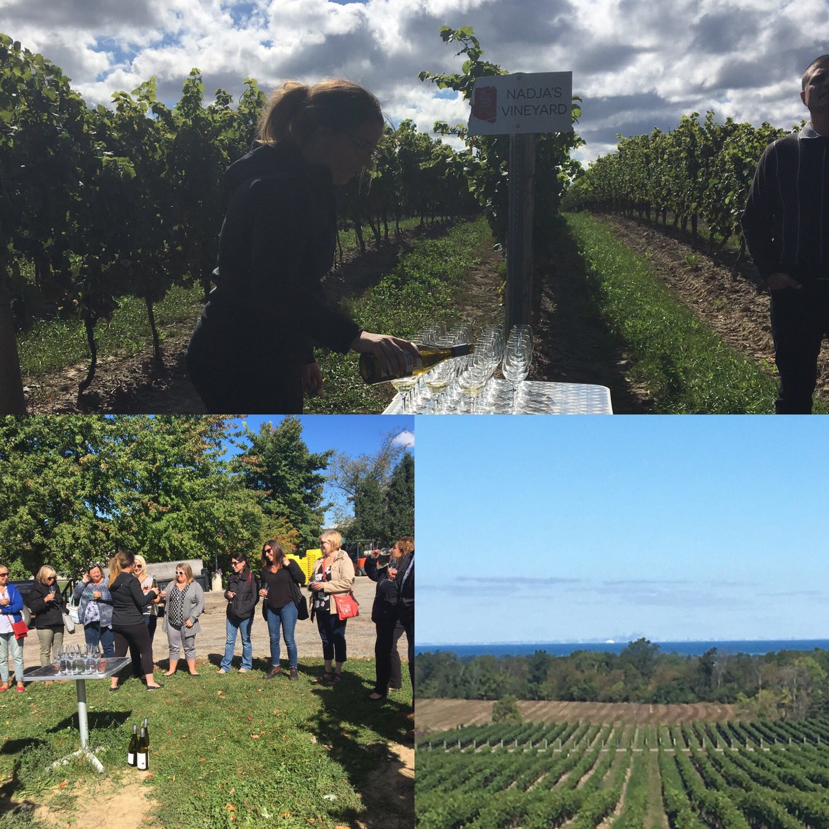 Snalinib's tweet photo. Flat Rock Cellars owner raised the bar when he named a vineyard after his wife Nadja for their 40tn anniversary @WLUSA_OSSTF #WLUSAWineTour https://t.co/Qy4hO1PRw0