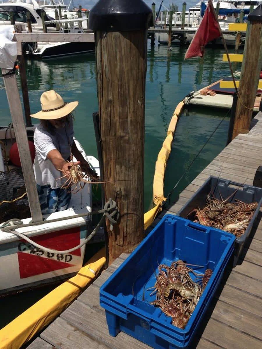 keywestfoodtour's tweet image. RT @HistoricSeaport: @HalfShellRawBar is back at it! Stop by for fresh #seafood &amp;amp; say hi to the #HalfShell crew!