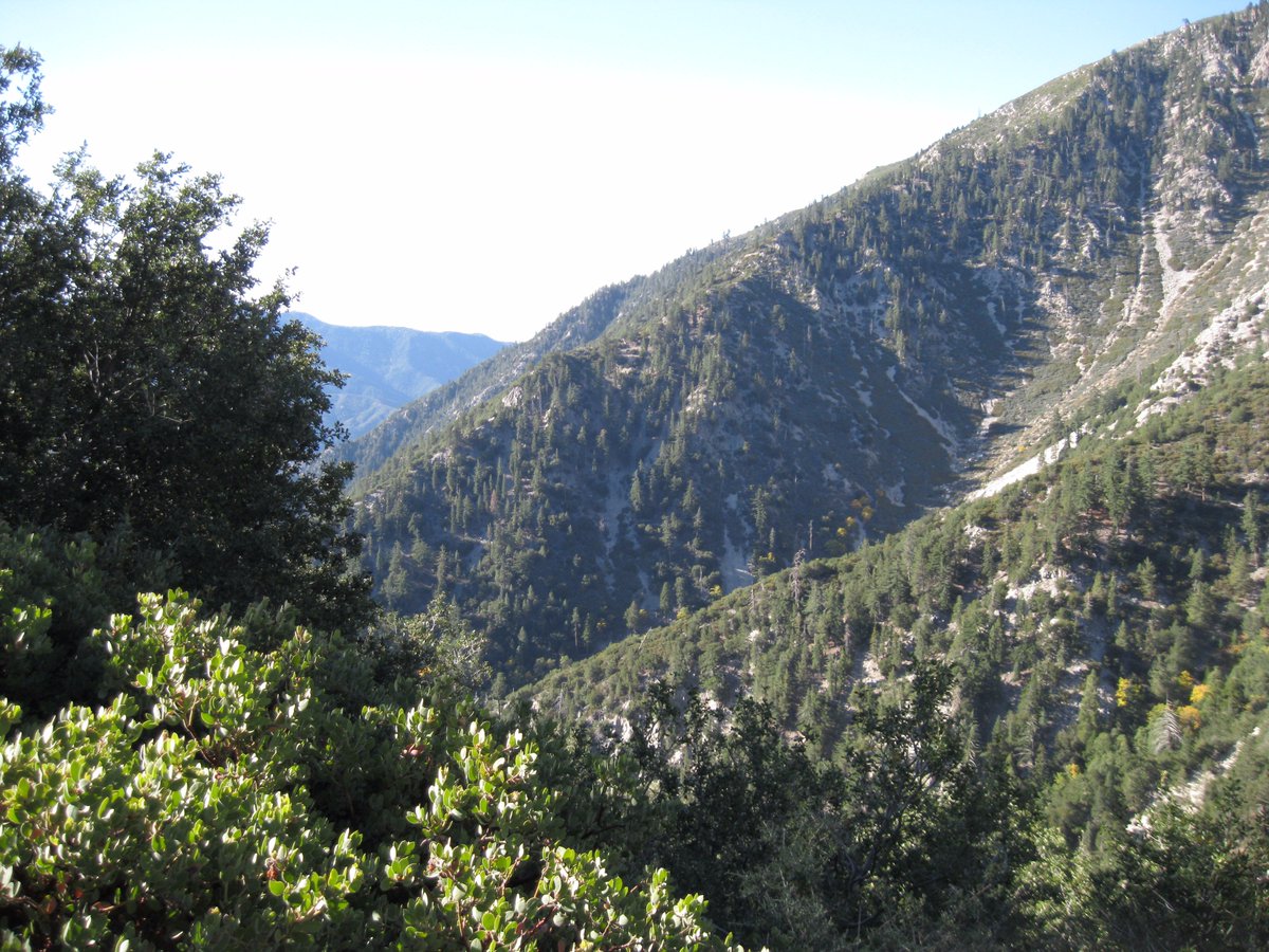 REDrywall's tweet image. Some nice #Views from the #Trail we #Adopted