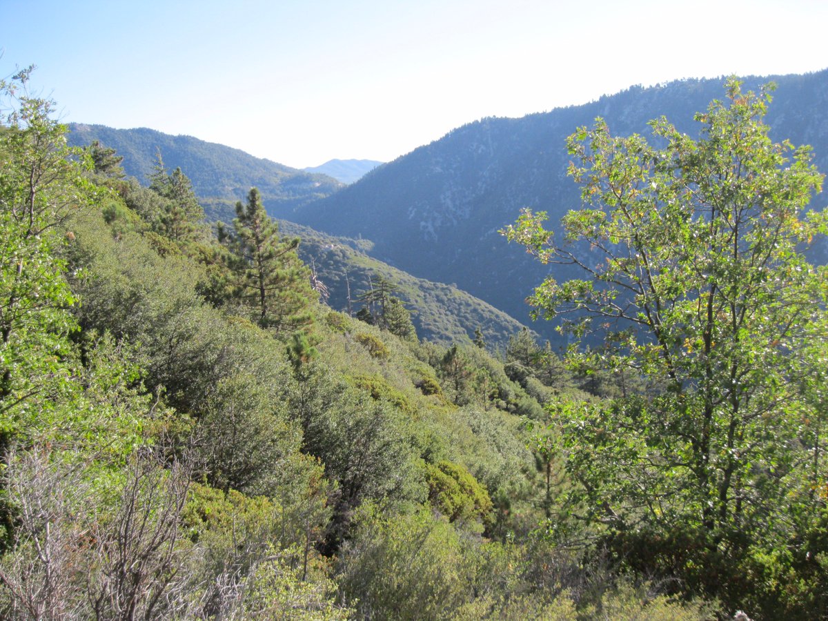 REDrywall's tweet image. Some nice #Views from the #Trail we #Adopted