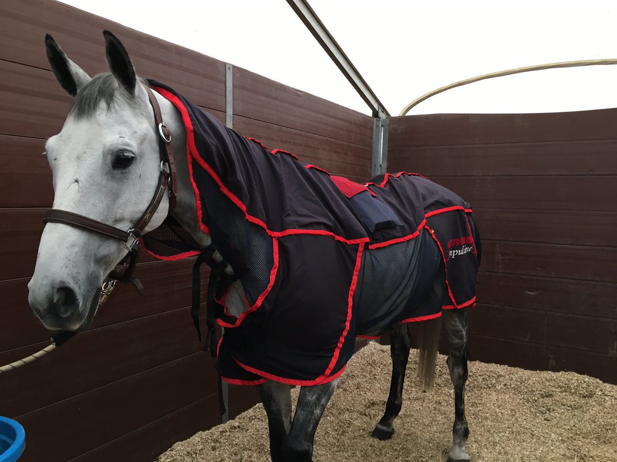 HoyEventing's tweet photo. Basmati is enjoying some time to relax after cross country with his #Activomed massage & magnetic blanket #HappyHorse https://t.co/mu0vIOMCRo